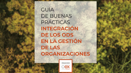 El CEX publiquen una nova guia d’integració dels ODS en la gestió empresarial